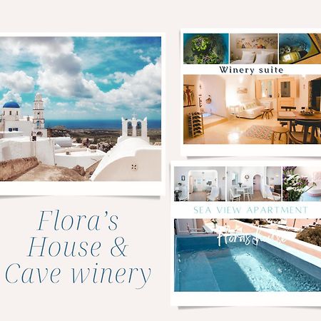Villa Flora'S House & Cave Winery Pýrgos Esterno foto